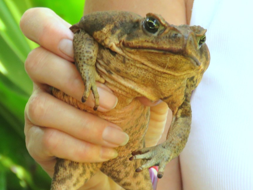 07-12-17:  Day 1 in Tropical Ecology and Culture Course in Costa&nbsp;Rica