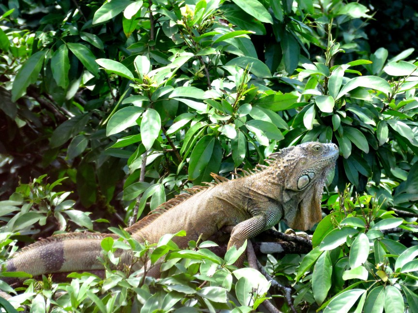 11:30 a.m. – 07-18-17 – Day 7: Rancho&nbsp;Margot