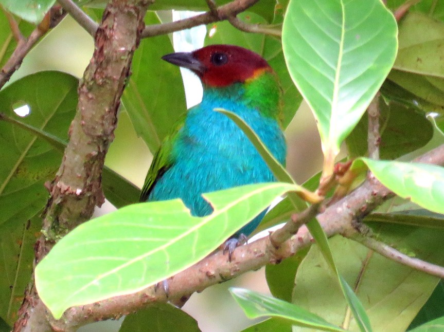 7-24-17 – Day 13 of 18 – Out of the Cloud&nbsp;Forest